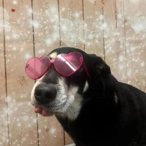 Meet your Posher, Dyfan@hotmail.com